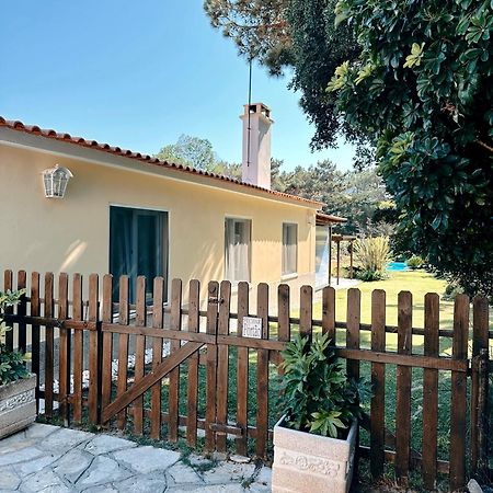 הוילה סינטרה Casa Girassol With A Beautiful Private Pool And Garden מראה חיצוני תמונה