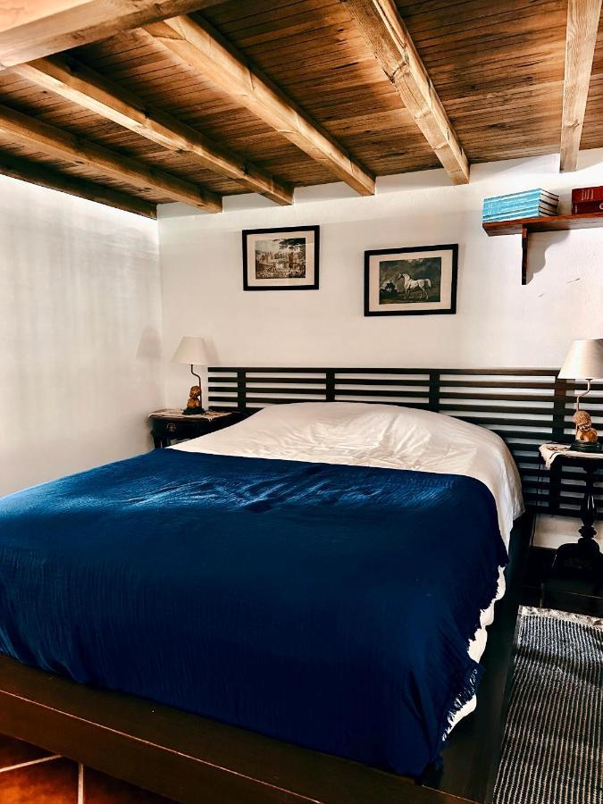 הוילה סינטרה Casa Girassol With A Beautiful Private Pool And Garden מראה חיצוני תמונה